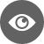 Intelligent Eye